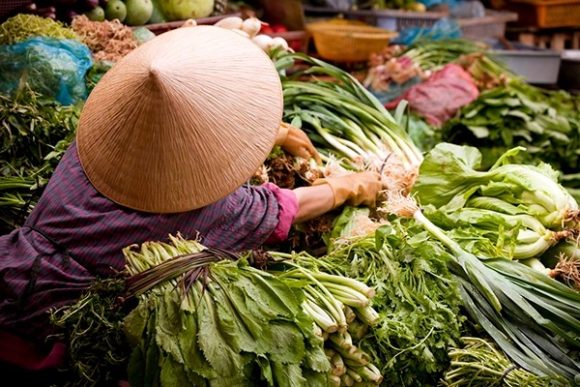 Cuisine asiatique : à la découverte des aliments emblématiques